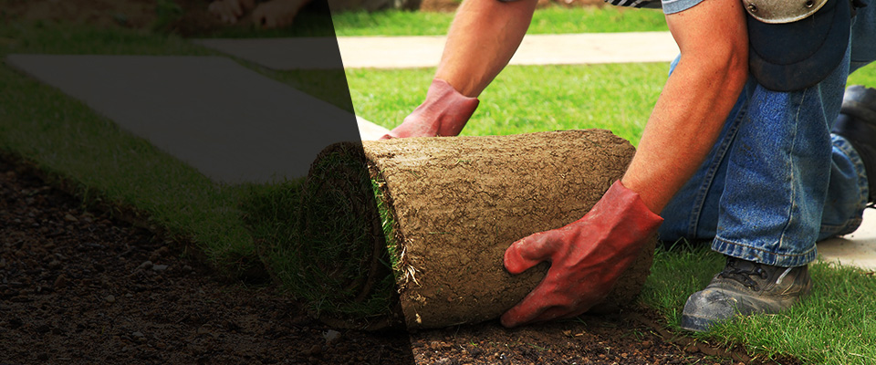 Bloomsburg Landscapers